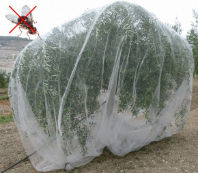Filet de protection insectes - Bioplus - Nos produits horticoles et de  jardinage - Jardin2m