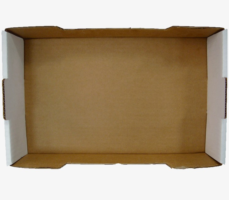 Plateau carton pour boîte moyenne - par 50