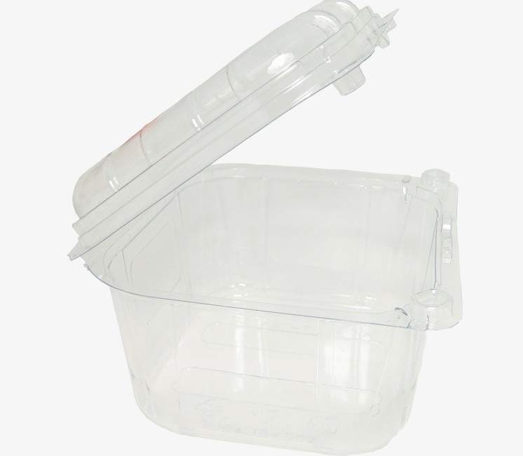 Barquette plastique PET rectangulaire transparente avec couvercle attaché  250ml H45mm