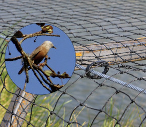Filet extensible de protection contre les oiseaux Quest Better Barriers,  facile à manipuler, 7 x 21 pi, noir